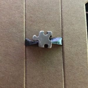 Chamilia Autism Puzzle Charm